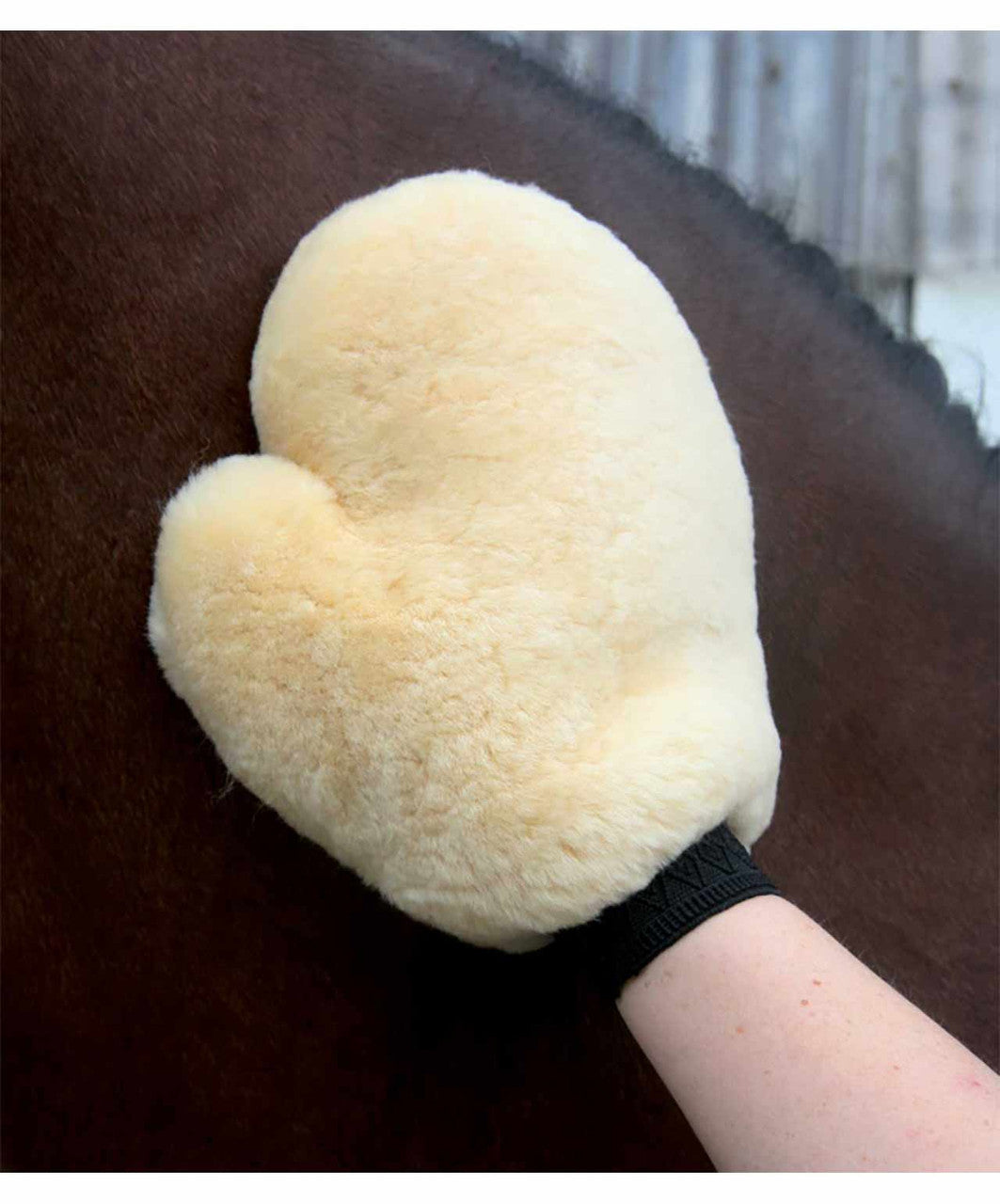Waldhausen Lambskin Grooming Glove, Natural.