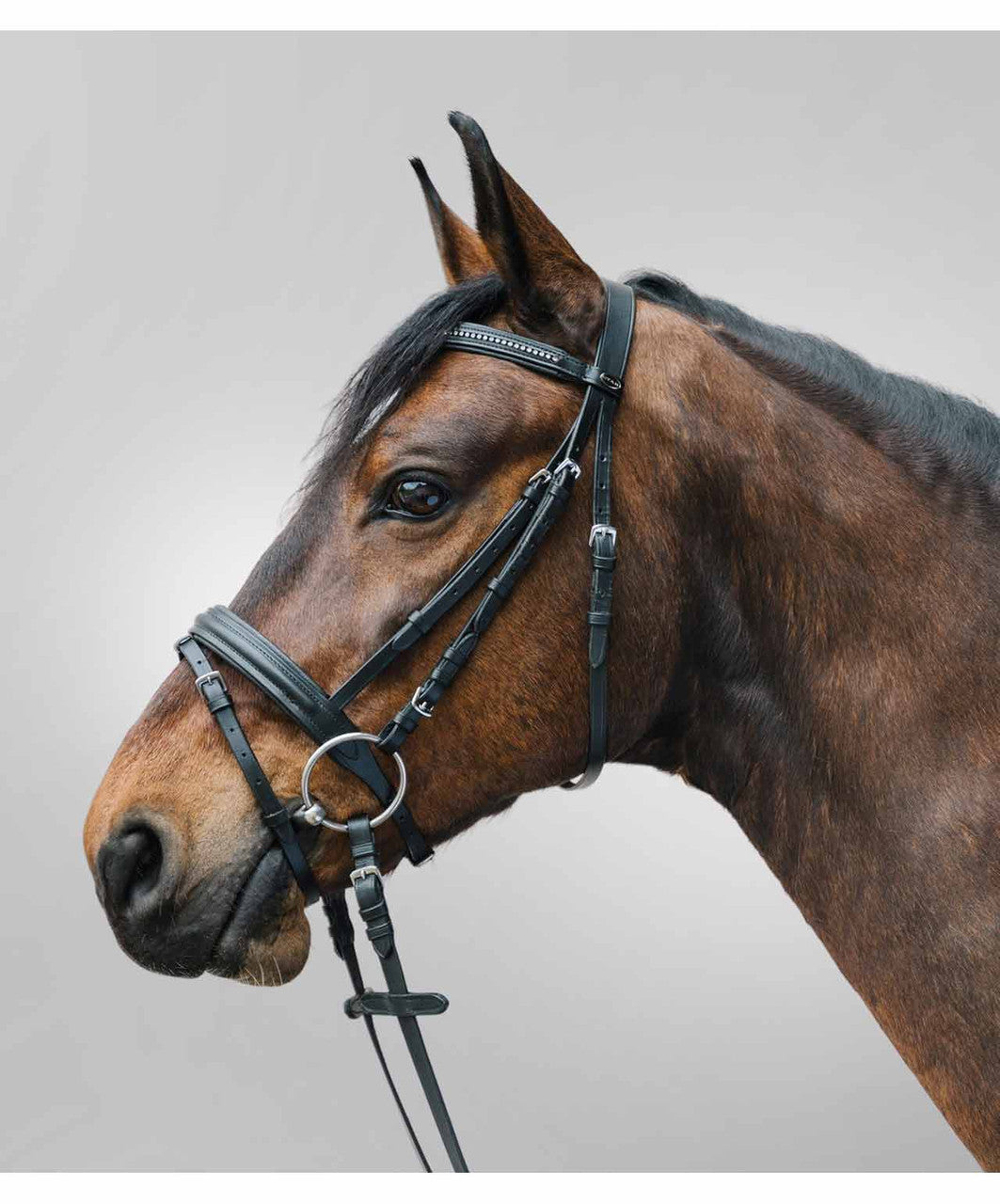 Waldhausen Star Diamond Bridle with Flash, Black.