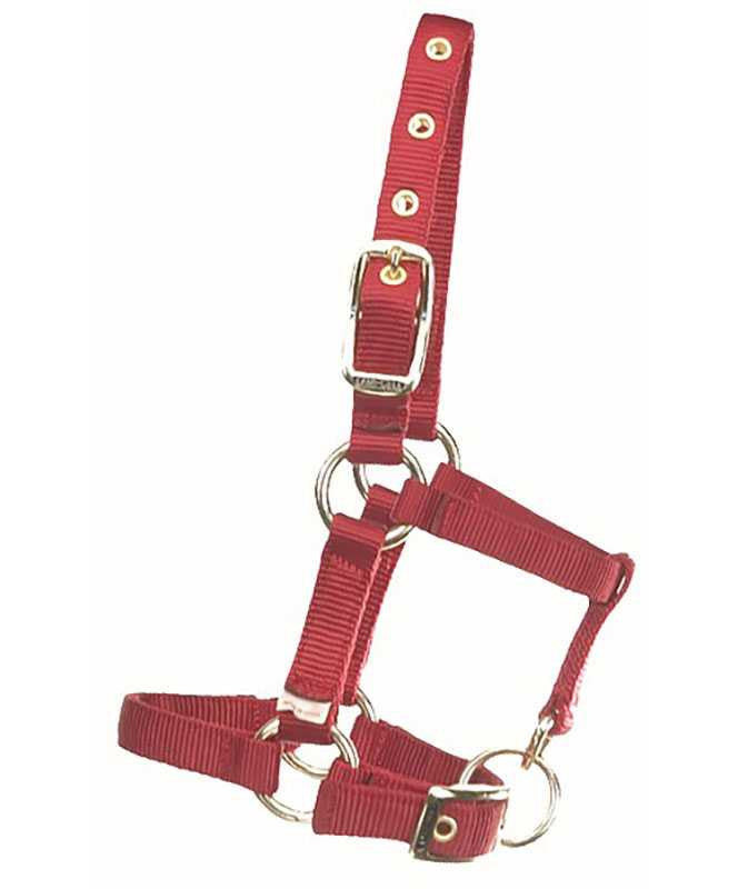 Hamilton Mini Horse Halter - No Snap, Red.
