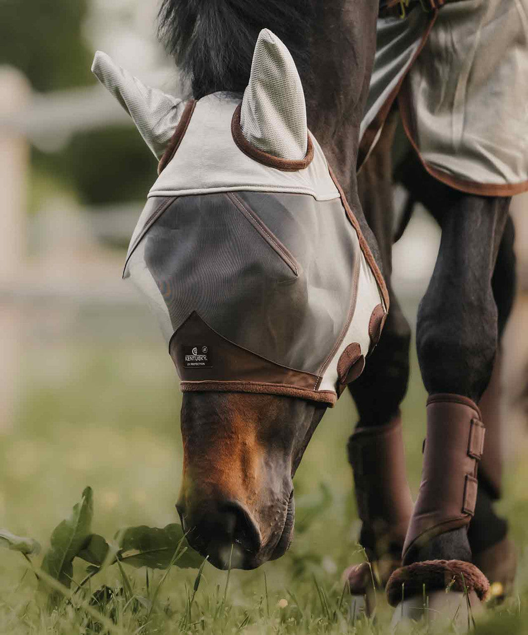 Kentucky Horsewear Classic Fly Mask with Ears.