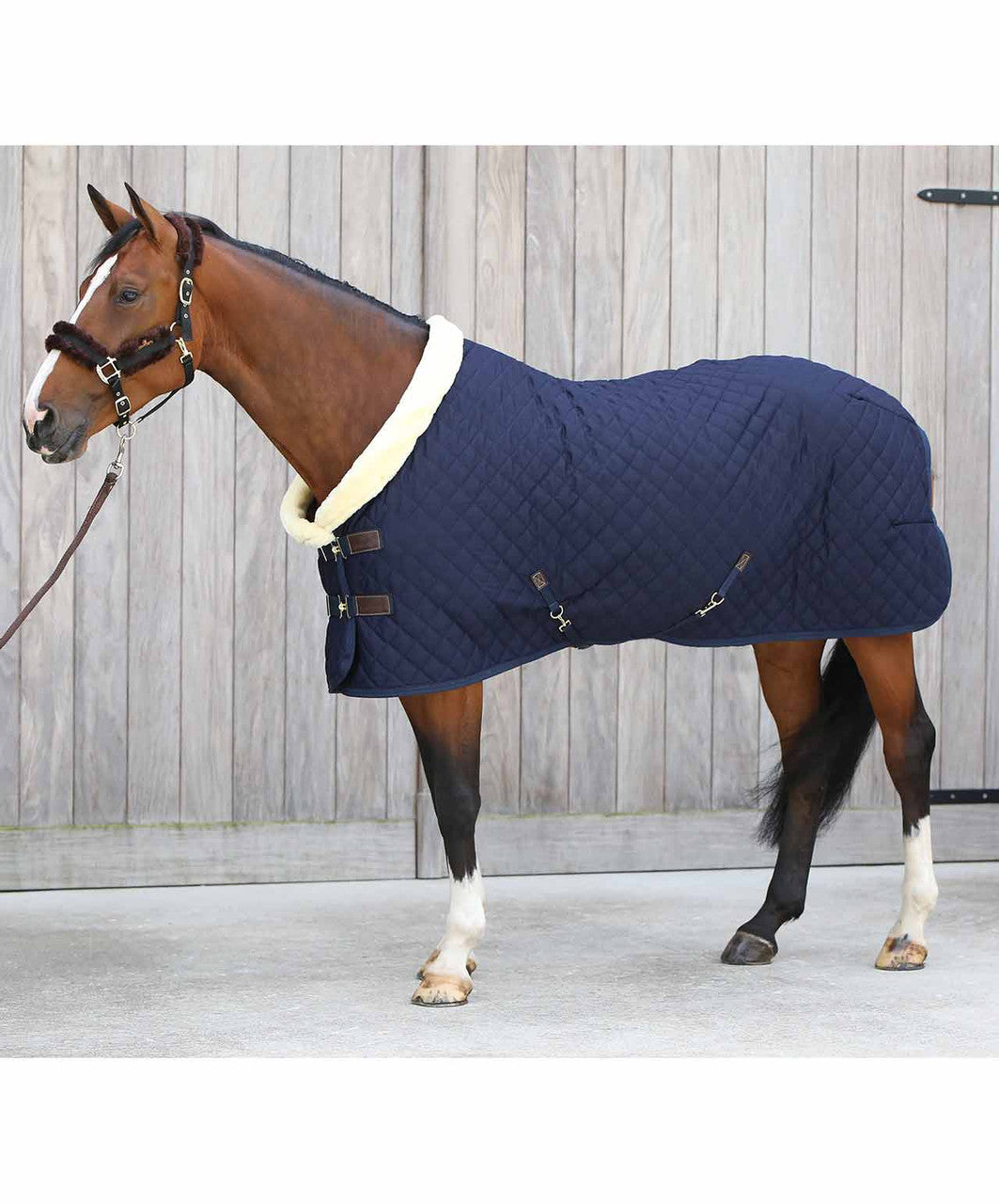 Kentucky Horsewear Show Rug, Navy.