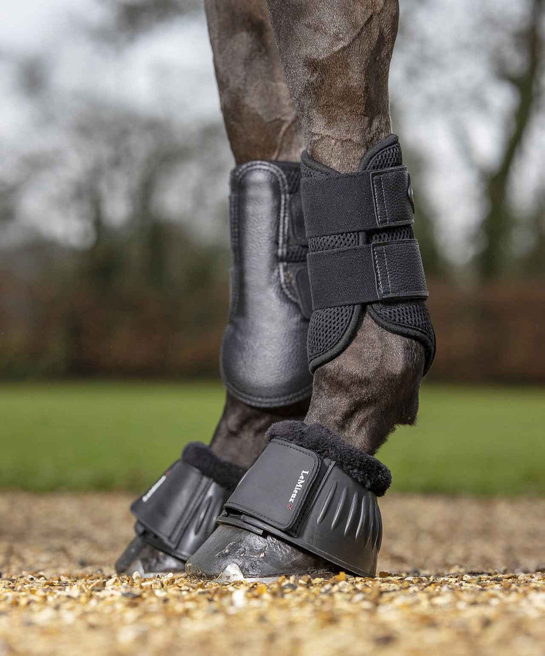 LeMieux Mesh Brushing Boots.