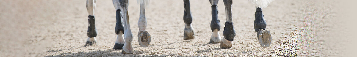 Horse Boots