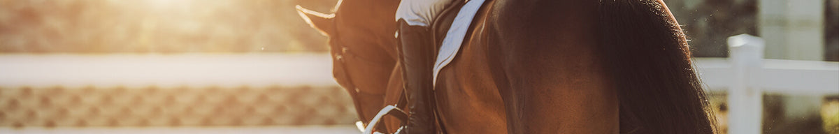 English Horse Tack